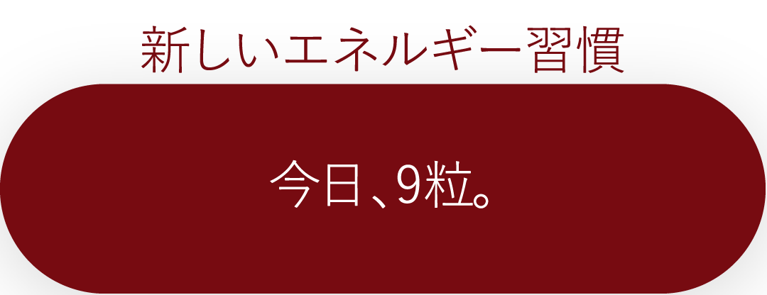 今日、9粒